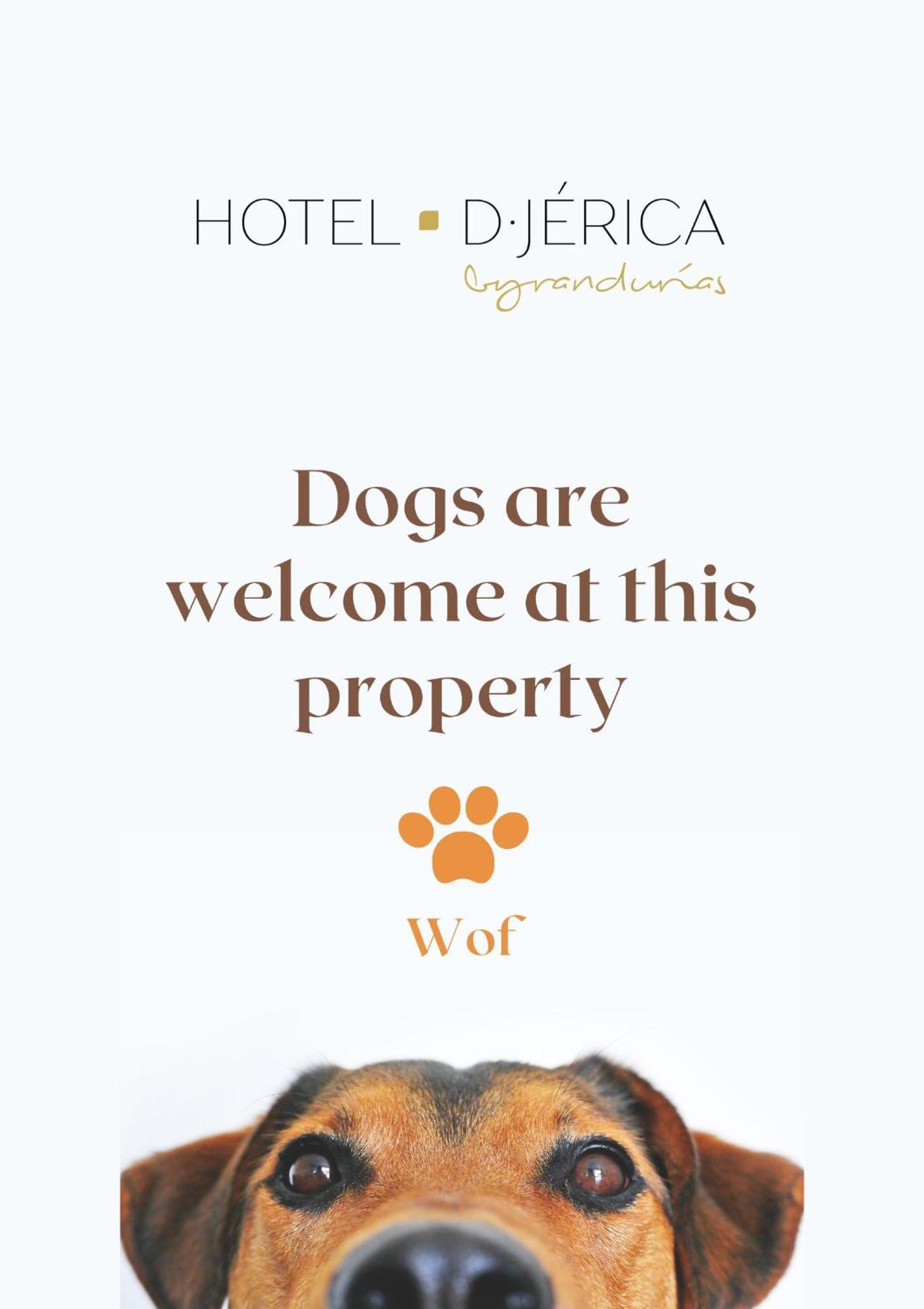 Hotel De 赫里卡 外观 照片